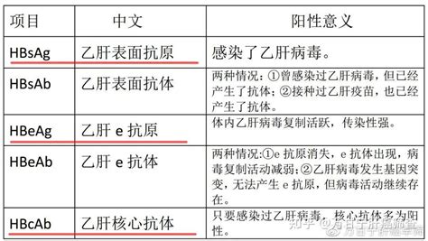 大三陽|大三阳与小三阳是什么？解读乙肝两对半